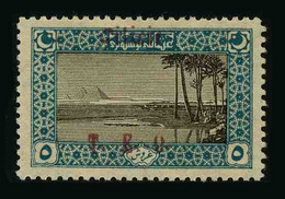 CILICIE - OCCUPATION FRANCAISE - YT 73 * - VARIETE SURCHARGE A CHEVAL (CILICIE EN HAUT) - TIMBRE NEUF * - Unused Stamps