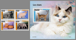 CENTRALAFRICA 2021 MNH Cats Katzen Chats 4v+S/S - OFFICIAL ISSUE - DHQ2210 - Domestic Cats