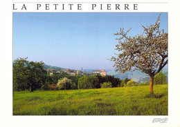 67 - La Petite Pierre - Vue Lointaine Sur Le Village - La Petite Pierre