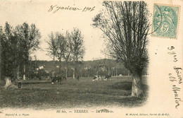 Yerres * Vue Sur La Prairie * Pâturages - Yerres