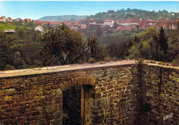 67 - La Petite Pierre - Vue Du Château - La Petite Pierre