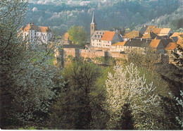 67 - La Petite Pierre - Vue Sur Le Village - La Petite Pierre