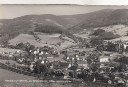 A9087) SPITAL Am SEMMERING - Steiermark - Bahngleise - Kirche HAUS DETAILS Alt !! - Steinhaus Am Semmering