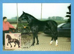 BRD 1997  Mi.Nr. 1922 , Friese / Pferderassen - Maximum Card - Erstausgabe Berlin Zentrum 9.6.1997 - 1981-2000