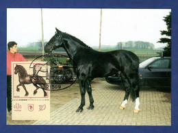 BRD 1997  Mi.Nr. 1922 , Friese / Pferderassen - Maximum Card - Sonderstempel Glinde -9.-6.1997 - 1981-2000