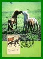 BRD 1997  Mi.Nr. 1921 , Shetlandpony / Pferderassen - Maximum Card - Sonderstempel Aalen -9.-6.1997 - 1981-2000