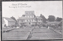 POSTCARD PORTUGAL - AFRICA - SÃO TOME AND PRINCIPE - OLD PORTUGUESE COLONY - ROÇA St. CECILIA - SECAGEM DE CACAU - Sao Tome Et Principe