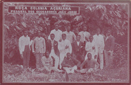 POSTCARD PORTUGAL - AFRICA - SÃO TOME AND PRINCIPE - OLD PORTUGUESE COLONY - ROÇA AÇORIANA -  CACAU - Santo Tomé Y Príncipe