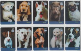 BRASIL 2003 DOG PUPPY COCKER SPANIEL PUG BULLDOG DACHSHUND LABRADOR SENBERNAR SET OF 10 PHONE CARDS - Honden