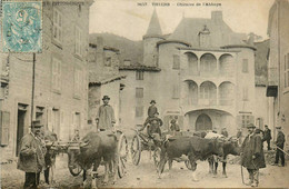 Thiers * 1905 * Place Et Château De L'abbaye * Attelages à Boeufs - Thiers