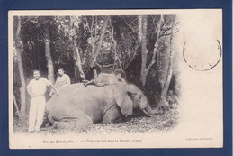 CPA Congo Français Chasse à L'éléphant Circulé - French Congo