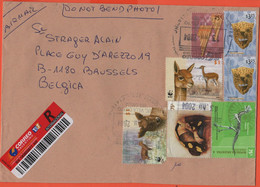 ARGENTINA - 2004 - 7 Stamps - Registered - Medium Envelope - Viaggiata Da Buenos Aires Per Brussels, Belgium - Covers & Documents