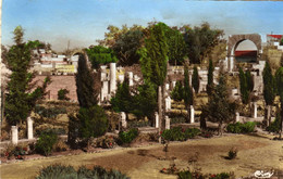 ALGERIE TEBESSA ( Bône )  Vue Des Ruines Romaines De La Basilique - Tebessa