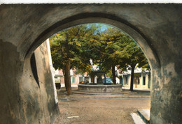 SAINT PAUL TROIS CHATEAUX LA FONTAINE DE LA PLACE DU MARCHE - Andere & Zonder Classificatie