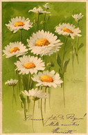 Catharina KLEIN Klein * CPA Illustrateur * éditeur Meissner & Buch Série 1202 * Fleurs Paquerettes * 1904 - Klein, Catharina