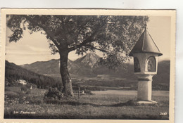 A9123) Am FAAKERSEE - Materl - Bank Baum Und Blick Auf Haus - ALT - Faakersee-Orte