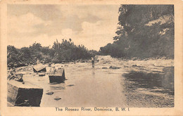 ¤¤  -   DOMINIQUE   -    The ROSEAU River   -   Dominica  -  B.W.I.      -  ¤¤ - Dominique