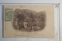L10 MADAGASCAR  BELLE CARTE   1905 TANANARIVE POUR    HANOI TONKIN INDOCHINA + MANIOC    +C BLEU +AFFRANCH. PLAISANT - Lettres & Documents