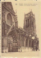 BELGIQUE - TONGRES -  Basilique Notre-Dame, Côté Nord - Tongeren