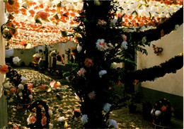 CAMPO MAIOR - Festas Do Povo - Uma Rua Decorada - PORTUGAL - Portalegre