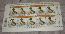 BUZIN 4537** Duck- Canard Souchet- Slobeend- Shoveler**  Zegels Voor Aangetekende Zending / Timbres Recommandée - Unused Stamps