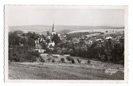 (54) 469, Cirey Sur Vezouze, CARTIL, Vue Générale, état - Cirey Sur Vezouze