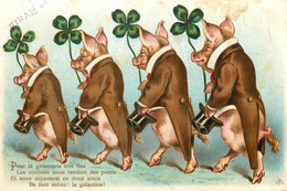 Cochons Humanisés * CPA Illustrateur 1906 * élégants Hommes Costume Mode Chapeau * Pig Cochon - Cochons