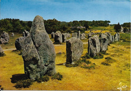 Cp Neuve, Alignements De Kermario à Carnac - Dolmen & Menhirs