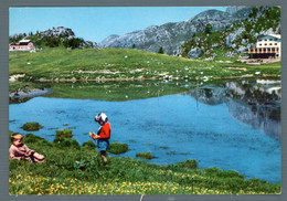 °°° Cartolina - Piani Di Artavaggio Viaggiata °°° - Lecco