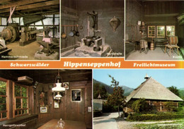 ALLEMAGNE - BADE WURTEMBERG - Mint - GUTACH - SCHWARZWALDER FREILICHTMUSEUM - HIPPENSEPPENHOF - Gutach (Schwarzwaldbahn)