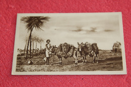 Africa AOI Eritrea Near Adua Scene Del Deserto 1936 + Spedita A Predappio Alto Forlì - Eritrea