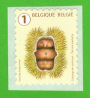 Belgique 2021 - Tree Fruits And Nuts - MNH - - Ungebraucht