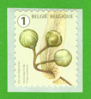 Belgique 2021 - Tree Fruits And Nuts - MNH - - Ungebraucht