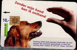 NETHERLANDS 2004 PHONECARD DOGS USED VF!! - Chiens