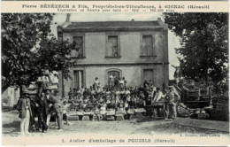 ""34 - Hérault - Gignac - P. Bénézech - Propriétaires Viticulteurs - Atelier D' Emballage De Pouzols - Gignac