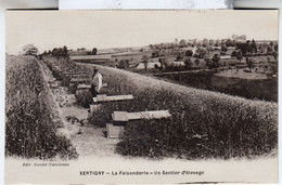 DEPT 88 / XERTIGNY - LA FAISANDERIE - UN SENTIER D'ÉLEVAGE - Xertigny