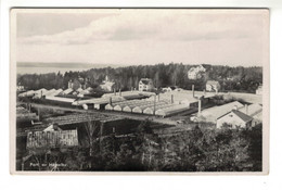 DG2592 - SWEDEN - PARTI Av HÄSSELBY - GREENHOUSES, WAREHOUSES - Zweden