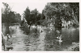 VERNON BAIGNADE AU VERNONET 1954 - Vernon