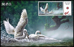 DUOSTAMP**/MYSTAMP** - Carte Photo - Cygnes / Zwanen / Schwäne / Swans - BUZIN - MPO Mechelse PZK Opsinjoor - Lettres & Documents