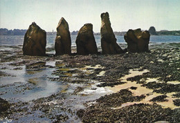 Cp Neuve, Double Cromlec'h De L'île D'Er Lanic, Golfe Du Morbihan, Menhirs - Dolmen & Menhirs