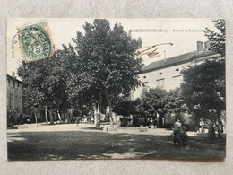 Roquecourbe Avenue De Labessonie. Animée. Circulée Années 1910 - Roquecourbe