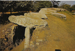 Cp Neuve, Le Dolmen Du Mané-Réthual à Locmariaquer, Mégalithe - Dolmen & Menhirs