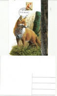 Japanese Red Fox  / Le Renard Japonais  /  Maximum-card Yokohama - Cartes-maximum
