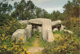 Cp  Dolmen De Crucuno, Bretagne,  Mégalithe - Dolmen & Menhirs