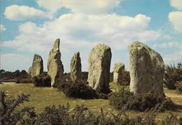 Cp Alignements De Kermario, Carnac, Bretagne,  Mégalithe - Dolmen & Menhirs