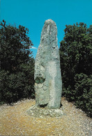 Cp Neuve, Menhir Des Environs De Bidon En Ardèche,  Mégalithe - Dolmen & Menhirs