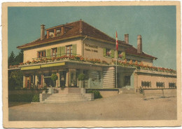 AB2269 Chatel Saint Denis - Laiteries Réunies - Fromagerie Modèle - Crèmerie / Non Viaggiata - Châtel-Saint-Denis