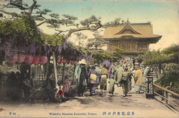 1912 JAPÓN , T.P. CIRCULADA , WISTERIA BLOSSOM KAMEIDO , TOKYO . - Covers & Documents