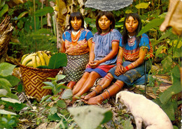 COLOMBIA , T.P. CIRCULADA , CHOCO - GRUPO DE MUCHACHAS INDÍGENAS DEL CHOCÓ EN SUS TRAJES TÍPICOS - Kolumbien