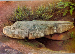 COLOMBIA , T.P. CIRCULADA , SAN JOSÉ DE ISNOS - HUILA , ARQUEOLOGIA , ARCHEOLOGY  , FIGURA ZOOMORFA - Colombie